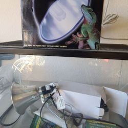 10 Gallon Fish/ Turtle Tank