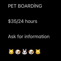 PET BOARDİNG ELKRİDGE/SEVERN