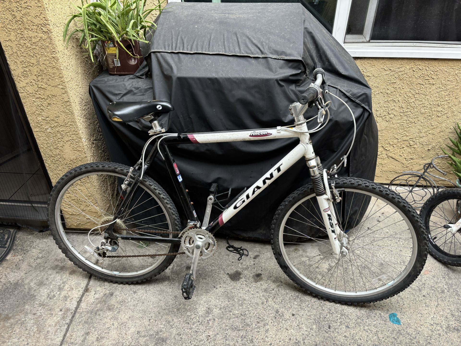 GIANT Rincon SE Mountain Bike 2000s