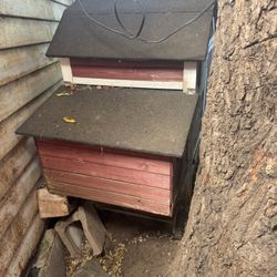 Free Chicken Coop
