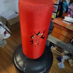 Kids Punching/kickboxing 