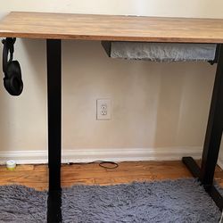Standing Desk – $100 (Must Pick Up by September 28th)  