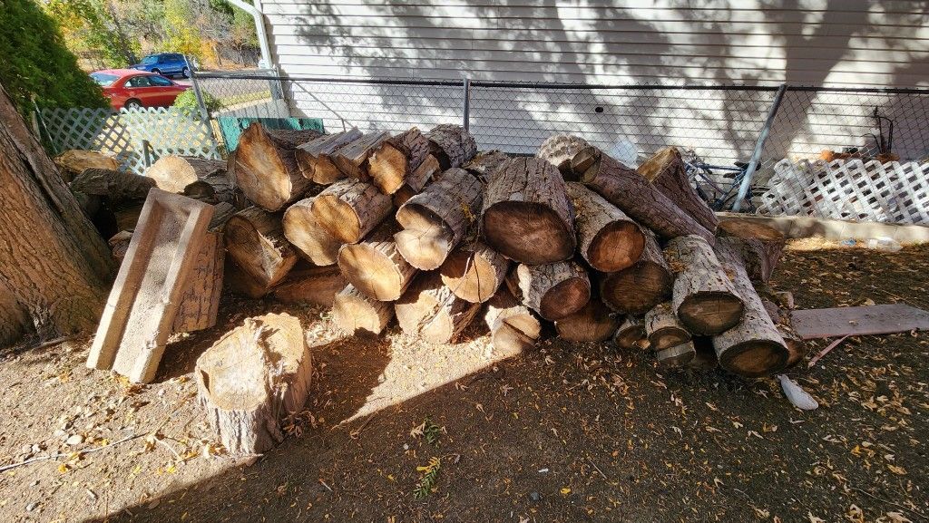 Free Firewood (Must Pick Up By Friday Eve Or It's Trash!)