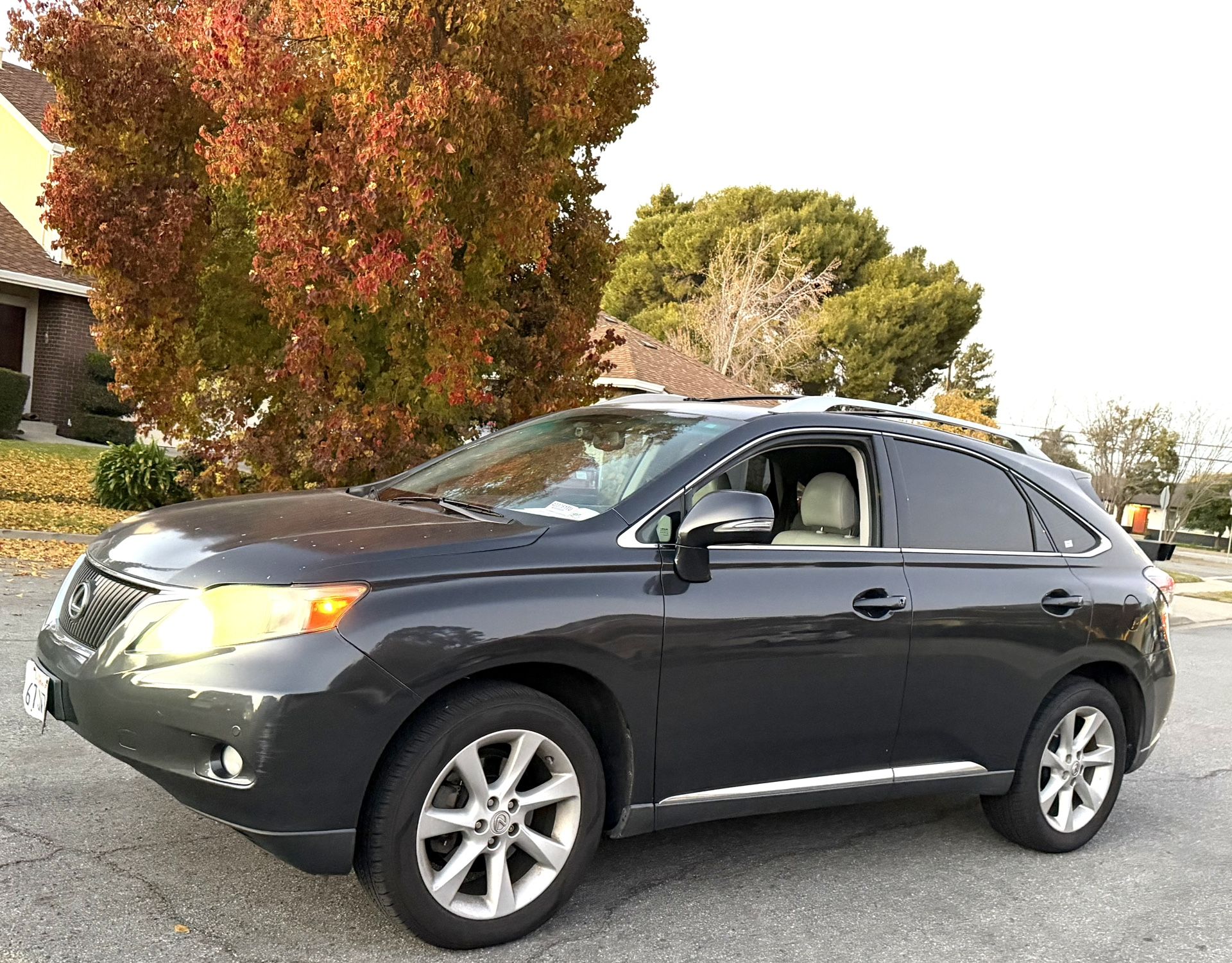 2010 Lexus Rx 350