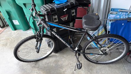 Adult bike