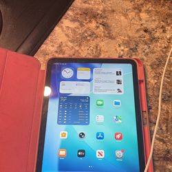 Pink 10th Generation iPad 
