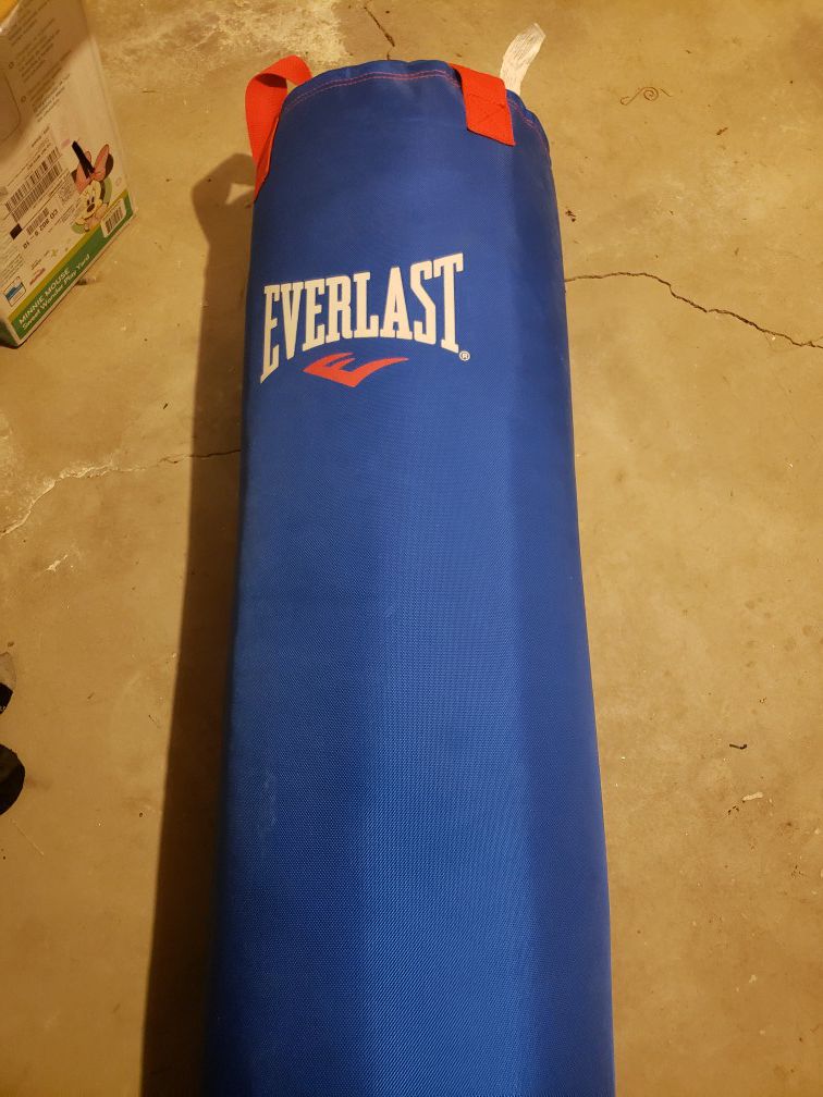 Everlast training bag