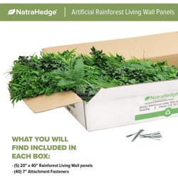 Rainforest Living Wall Decor