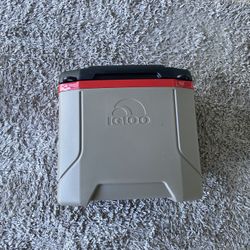 Small Igloo Cooler