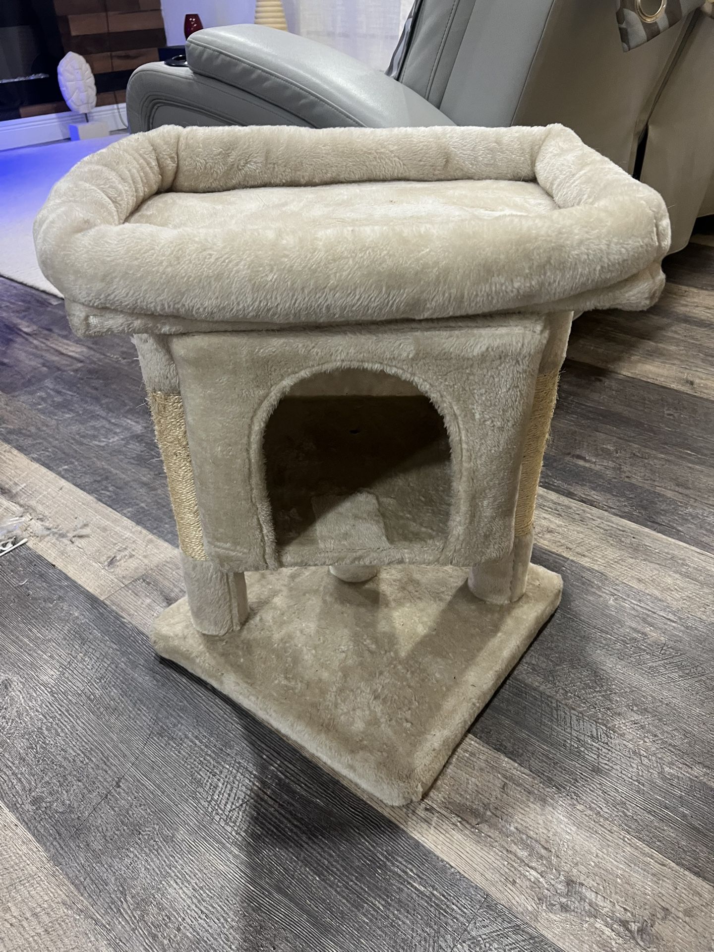 CAT HOUSE