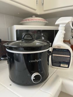 Mini Crock Pot