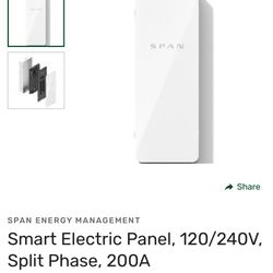 200 Amp Span Panel