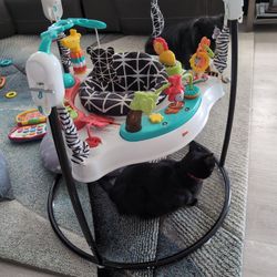 Fisher Price Baby Bouncer/Jumper