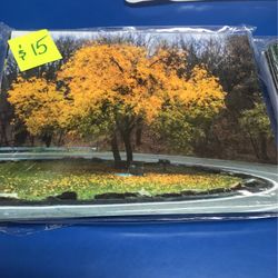 12 Pack Nature Post Cards 