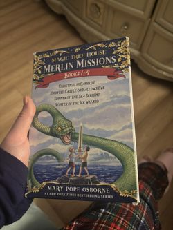 Merlin Mission