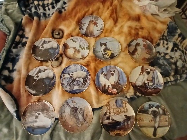 Porcelain decorative cat plates by Daphne Baxter : Limited Edition And Irene Spencer