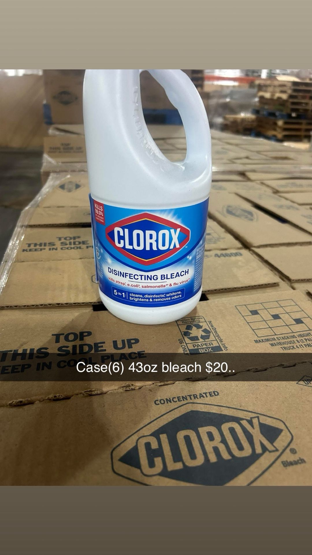 Clorox bleach (6) 43oz