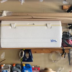 Igloo cooler Sport 124