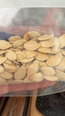 Got Dusty or Unused Garden Seeds