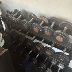 Dumbbells 