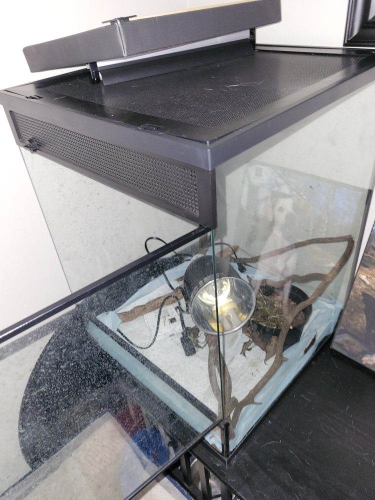 Terrarium