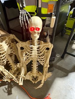 5 FT LED Pose-N-Stay Skeleton