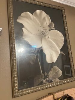 Large picture