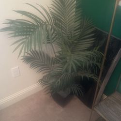 Faux Tree 