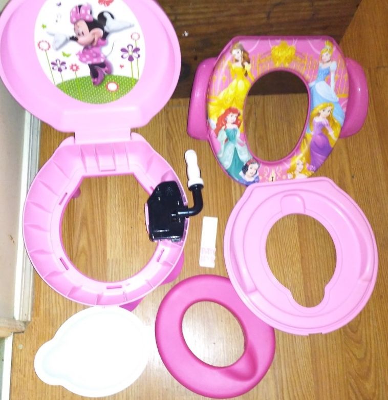 Every Everything You See Here Minnie Mouse Talking Toilet