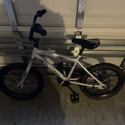 Kids 12 Inch Bike