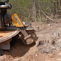 Stump Grinding 