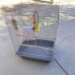 Bird Cage Med 