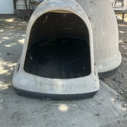 Dog House 