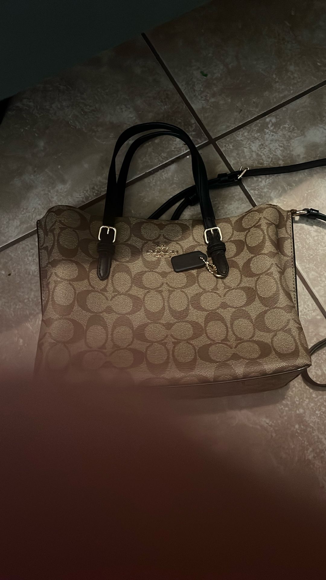 Coach Bag 