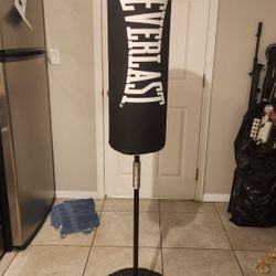Everlast punching bag