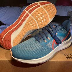 Nike Air Zoom Pegasus 39 Size 11.5