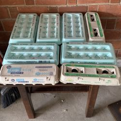 Empty Boxes Containers Recycling And Bags Grocery