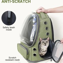 Cat Backpack