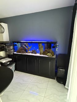 125 Gallon Saltwater Aquarium