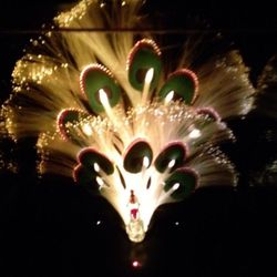 PECOCK LAMP & MUSIC BOX. VINTAGE FIBER OPTIC  LIGHTS