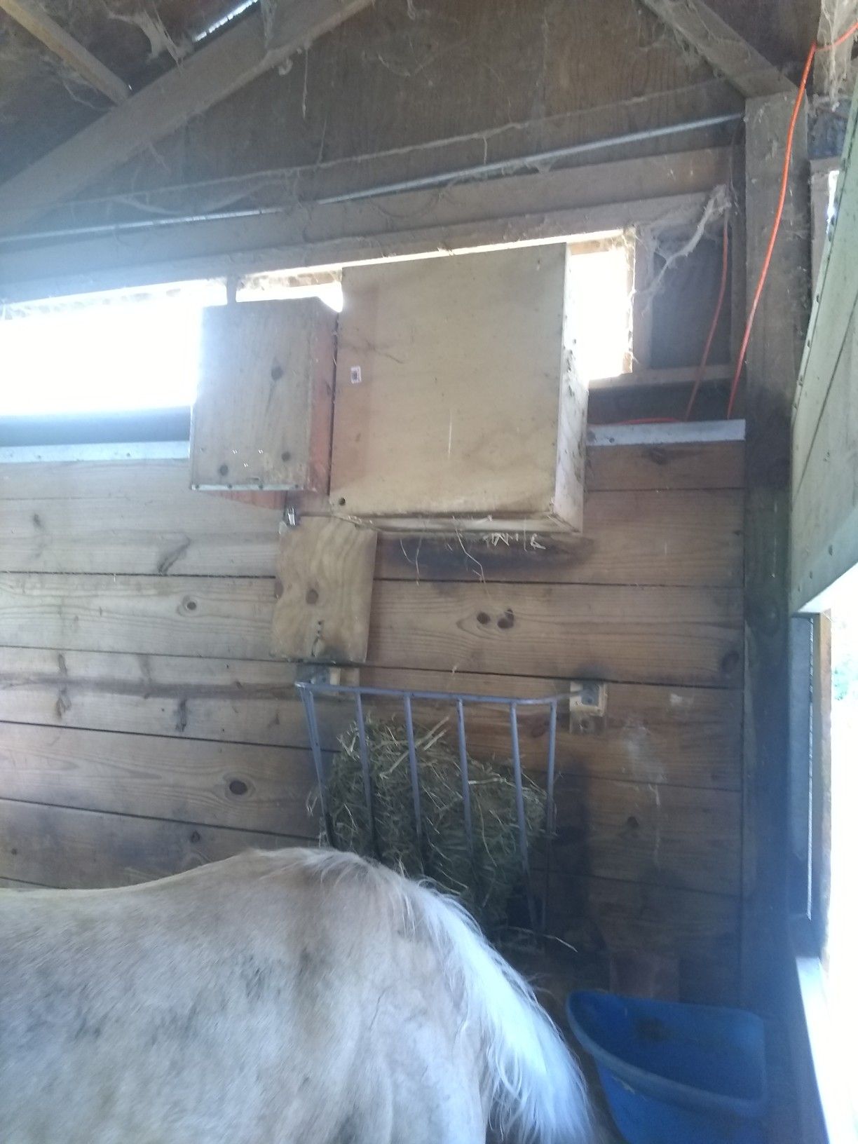 Custom automatic horse hay feeder box