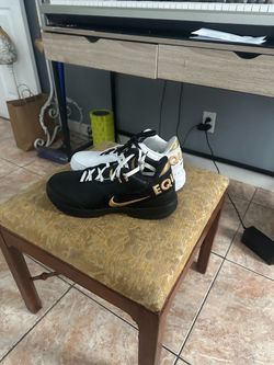 LeBron nxxt gen size 11.5