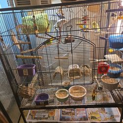 Bird Cage ect ect