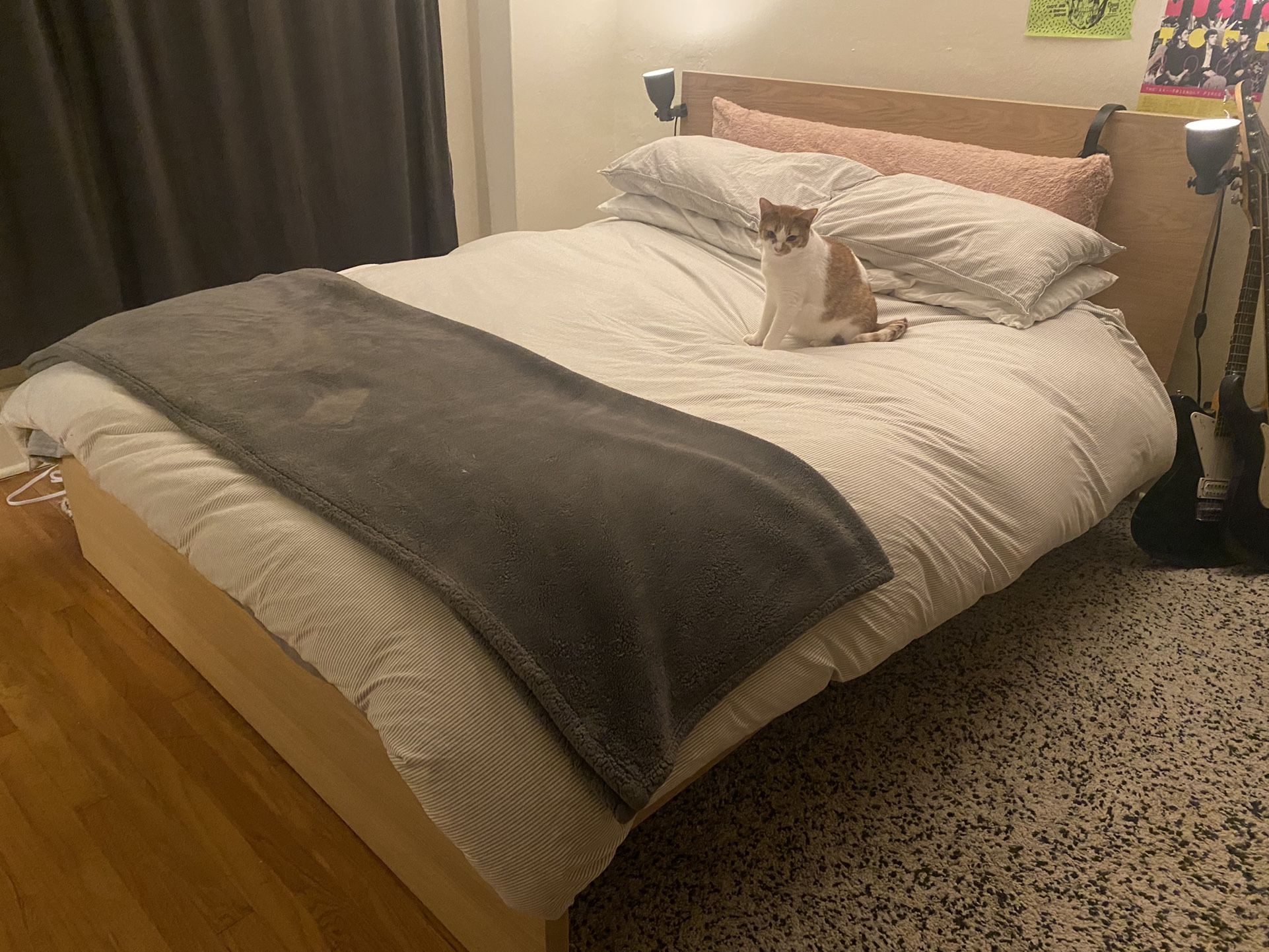 IKEA Malm Queen Bed Frame - Birch