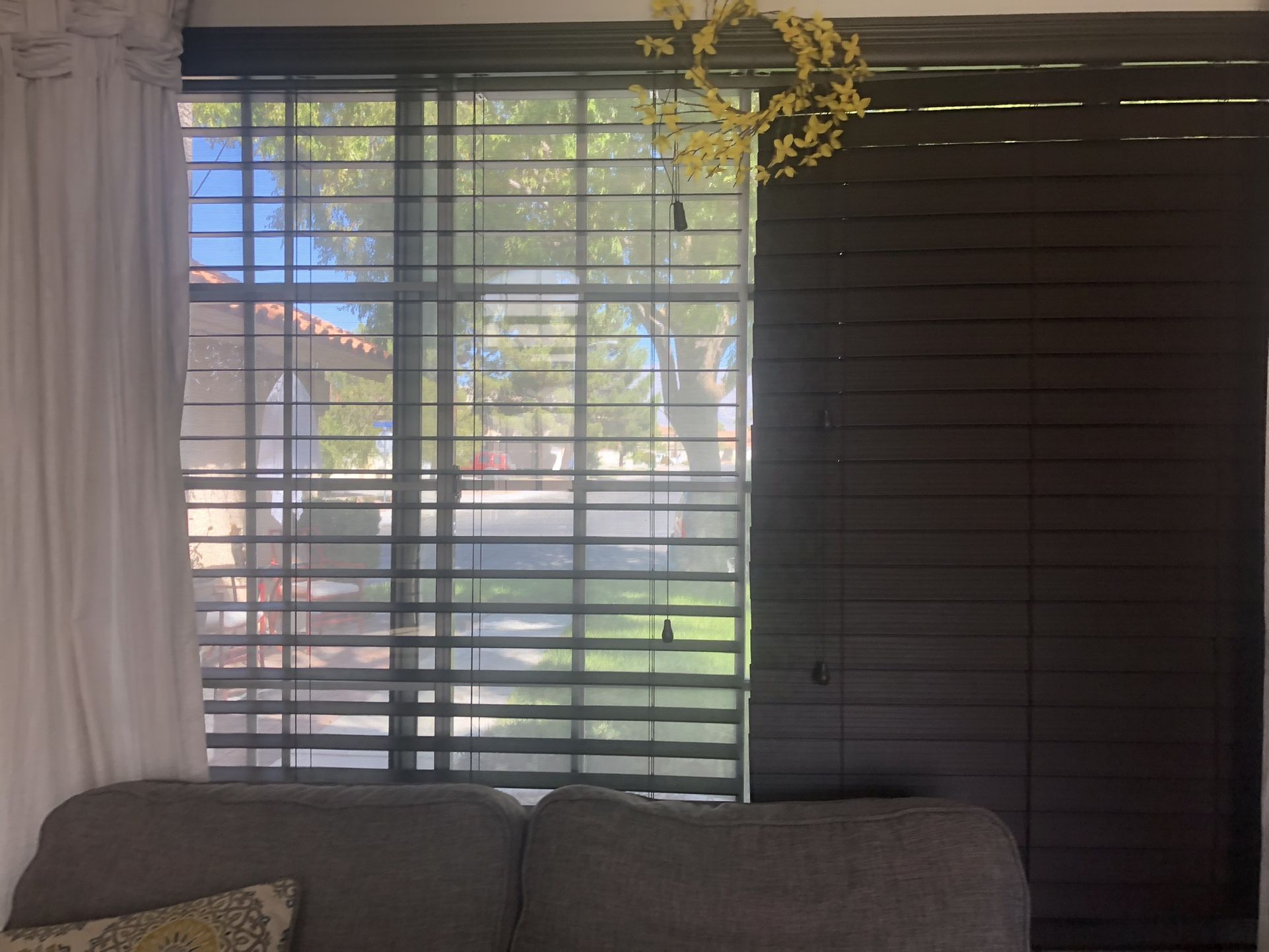 2 Dark Brown Blinds