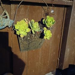 Metal Basket With Succulants