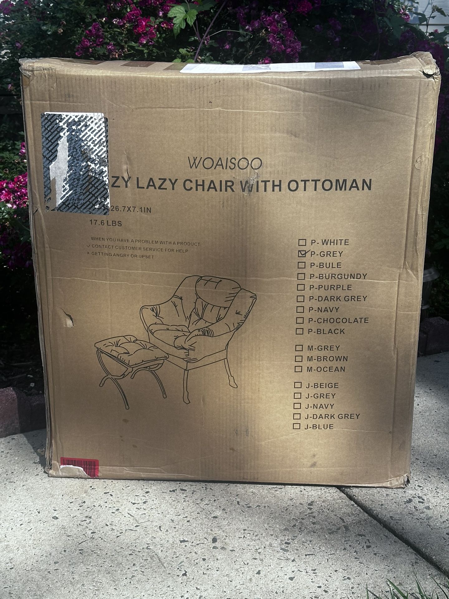 Cozy Lazy Chair with Ottoman