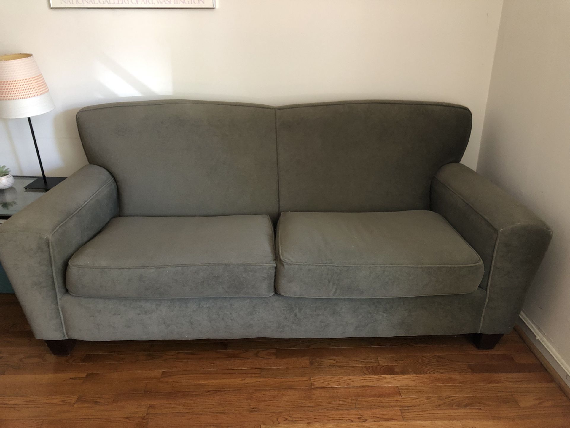 FREE! Sage Green Couch / Sofa