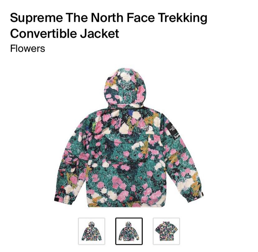 Supreme x The North Face Convertible