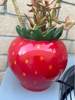 Strawberry Planter